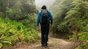 mike fink hiking in costa rica capturing niche online storytelling content