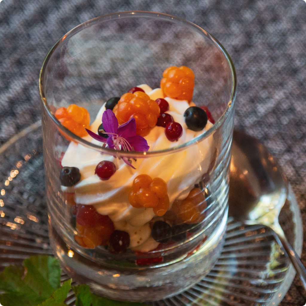 aerial image of a fresh desert prepared in lapland finland with facing waves crew and local guides